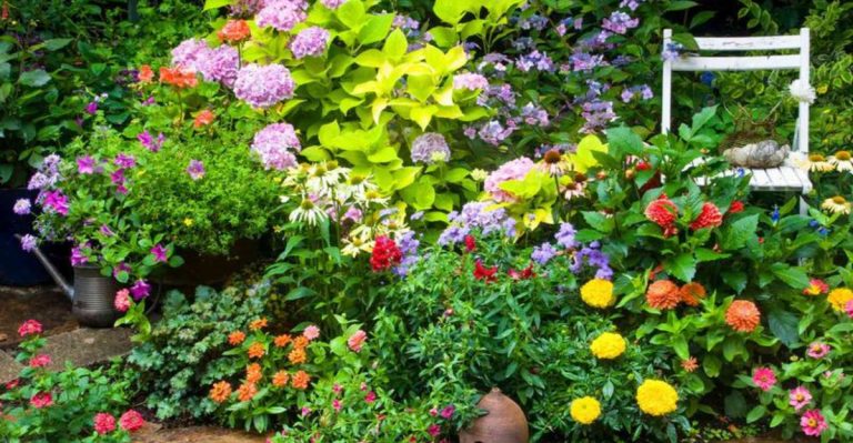12 Secrets to Enjoying a Spring Garden Full of Columbine Flowers