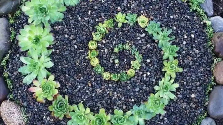 12 Spiral Garden Layouts That Maximize Space and Style