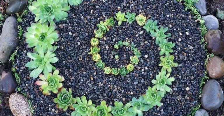 12 Spiral Garden Layouts That Maximize Space and Style