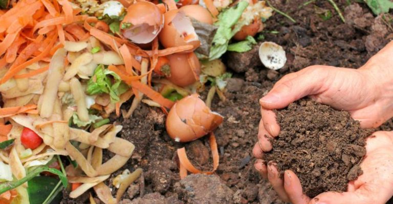 13 Compelling Reasons to Start Composting Today