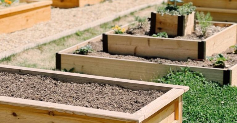 13 Essential Tips for Building and Maintaining a Raised Bed Garden