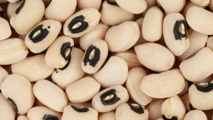 13 Things You Need to Know to Grow Healthy, Delicious Cowpeas
