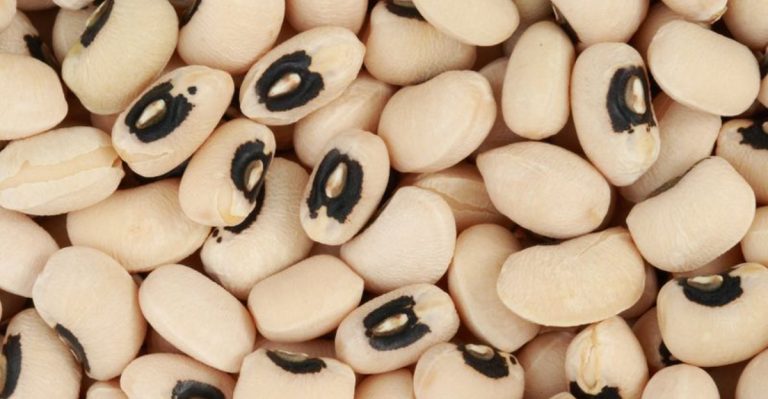 13 Things You Need to Know to Grow Healthy, Delicious Cowpeas