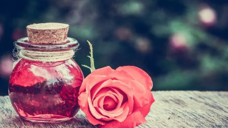 14 Flowers That Were Used in Ancient Love Potions