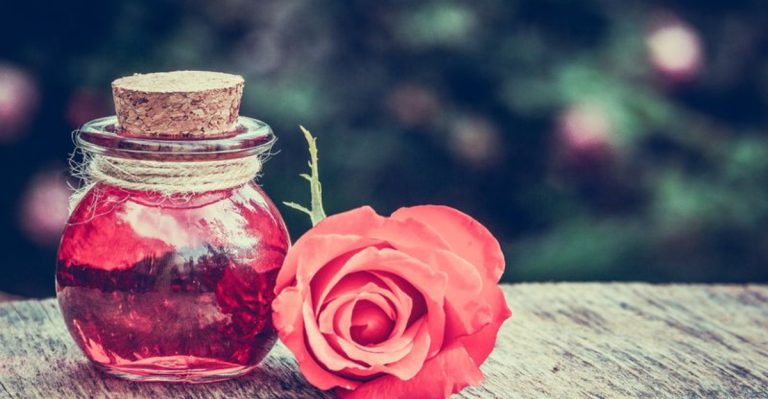 14 Flowers That Were Used in Ancient Love Potions