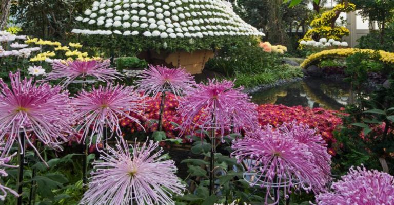 14 Must-Have Plants for a Japanese Garden That Feels Like a Peaceful Retreat