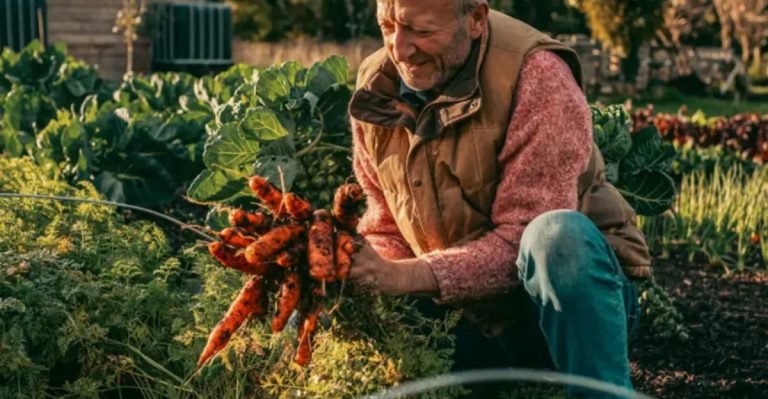 14 Reasons No-Dig Gardening Might Be the Best Thing You Ever Try