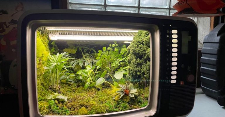 14 Ways to Use Old Furniture as Creative Planters