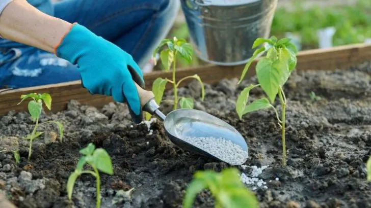 15 April Gardening Mistakes That Could Cost You Your Spring Blooms