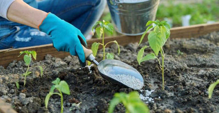 15 April Gardening Mistakes That Could Cost You Your Spring Blooms