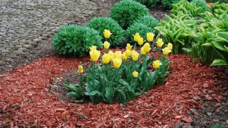 15 Reasons Why Lazy Gardening Could Be the Key to Your Best Spring Yet