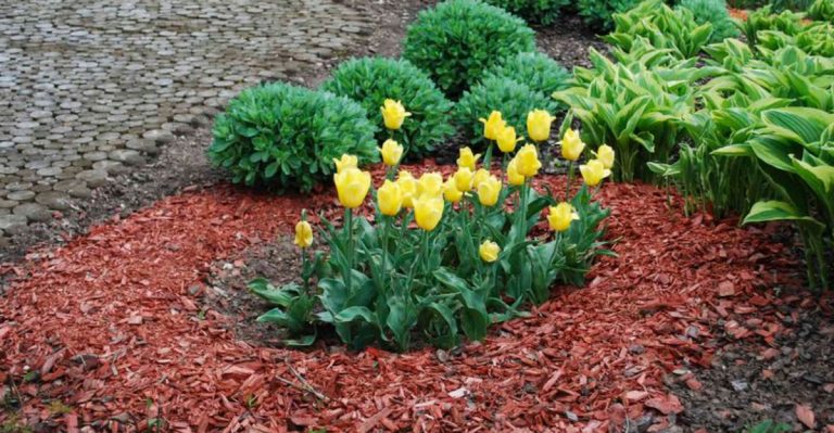 15 Reasons Why Lazy Gardening Could Be the Key to Your Best Spring Yet