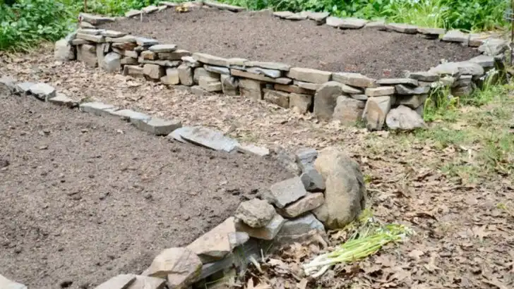 15 Simple Mistakes That Could Be Bringing More Snakes to Your Backyard