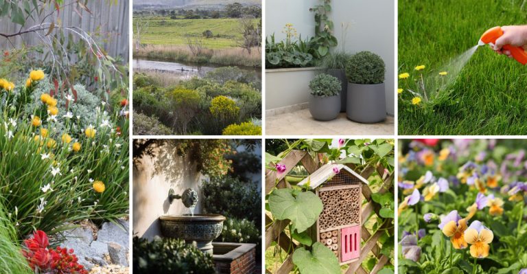 15 Ways to Start a Pollinator Garden in Spring