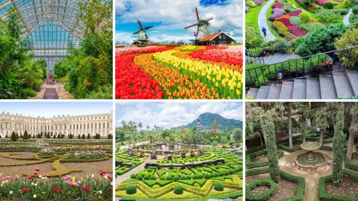 16 Beautiful Virtual Garden Tours You Can Enjoy at Home