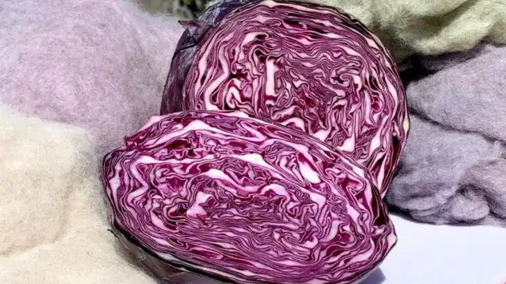 16 Colorful Plants That Can Be Used as Natural Dyes