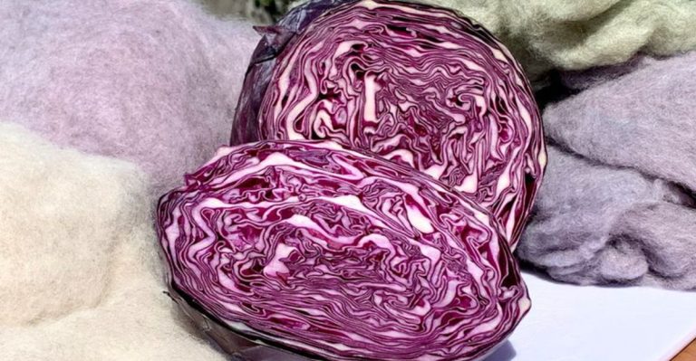 16 Colorful Plants That Can Be Used as Natural Dyes