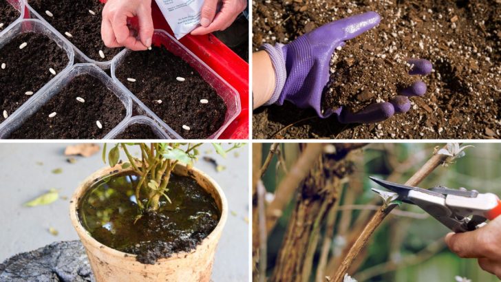 16 Common Gardening Mistakes to Avoid in March