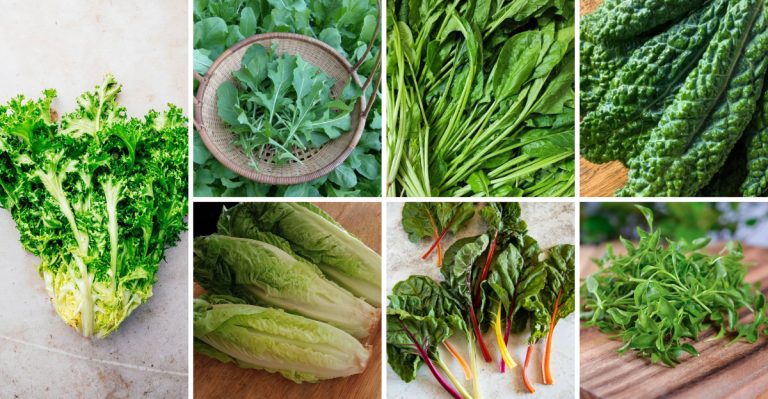 16 Delicious Salad Greens That Balance Gut Health, Lower Blood Pressure, and Boost Immunity