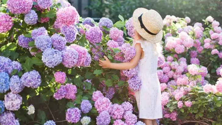 16 Essential Plants for a Garden That Blooms Year-Round