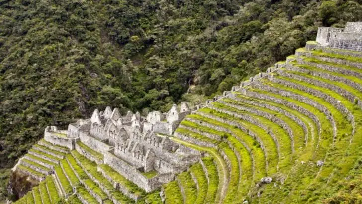 16 Gardening Hacks Stolen from Ancient Civilizations