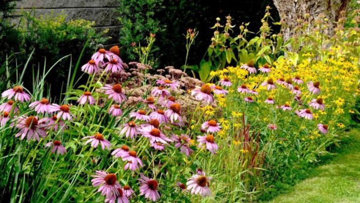 16 Insider Tips from Landscaping Experts to Create a Drought-Resistant Garden