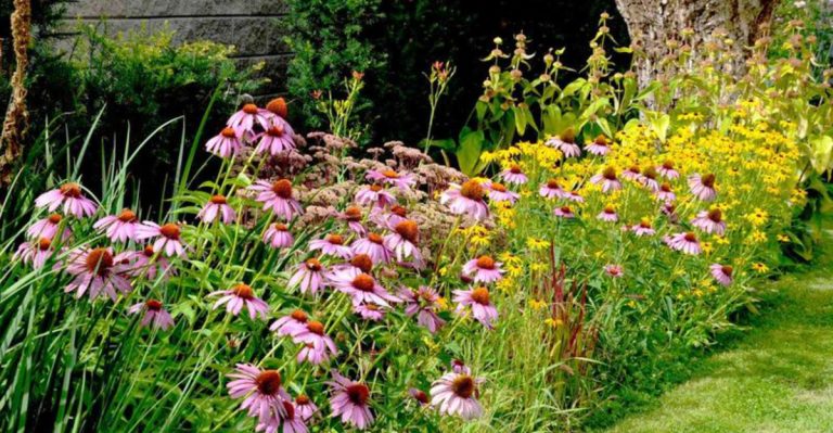 16 Insider Tips from Landscaping Experts to Create a Drought-Resistant Garden