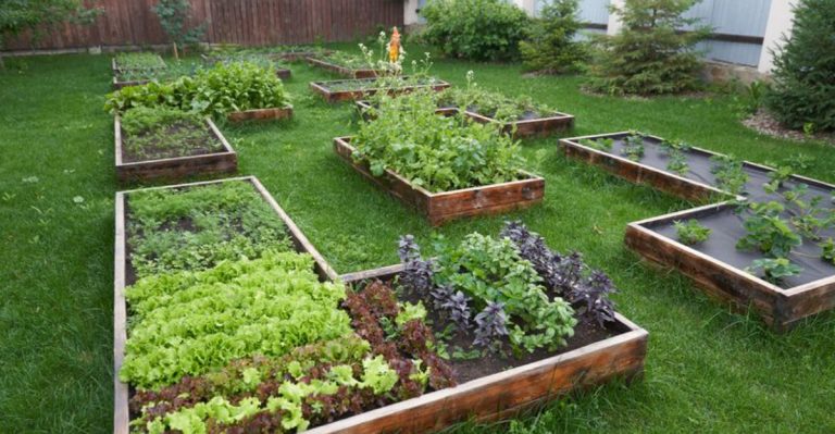 16 Organic Gardening Tricks for Chemical-Free Veggies