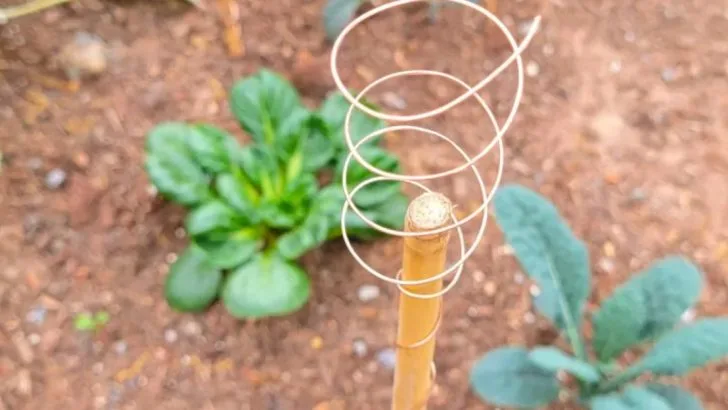 16 Reasons Electroculture Might Not Be Just a Trend