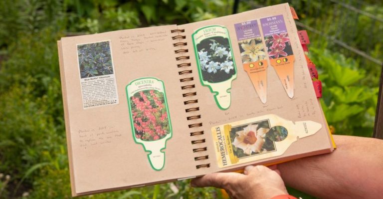 16 Reasons You Should Start a Garden Journal and How to Do It Right