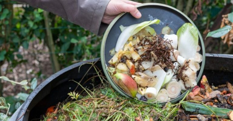 16 Secret Ingredients for a Thriving Garden