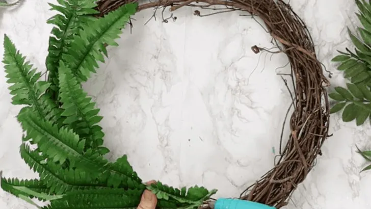 16 Surprising Uses for Ferns Beyond Landscaping