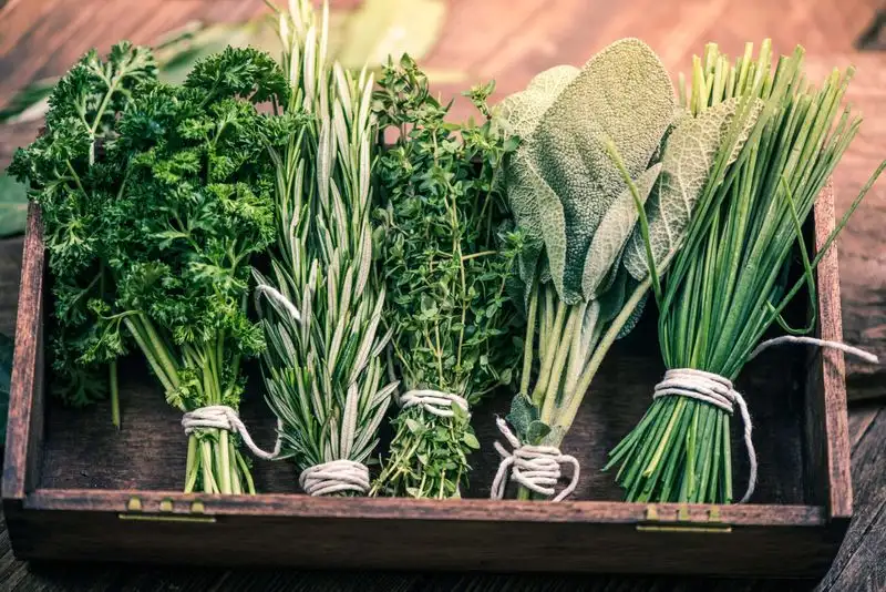 16. Incorporate Aromatic Herbs