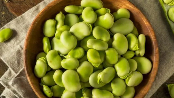 17 Best Seasonal Produce to Enjoy and Preserve This Spring