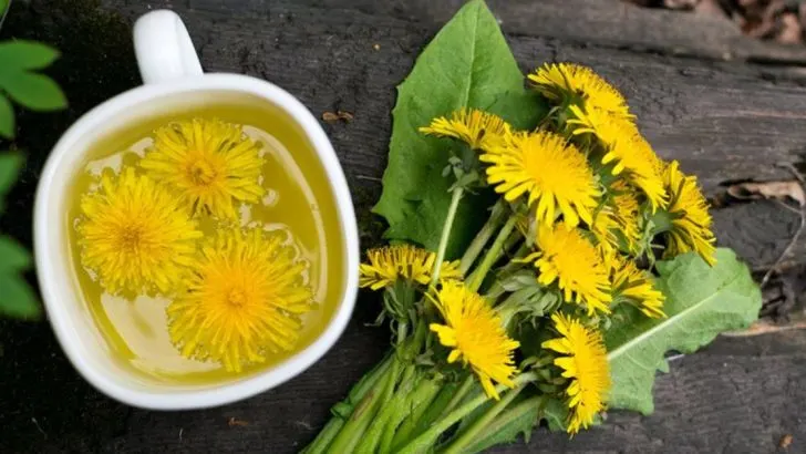 17 Clever Ways to Use Dandelions You’ve Probably Never Tried