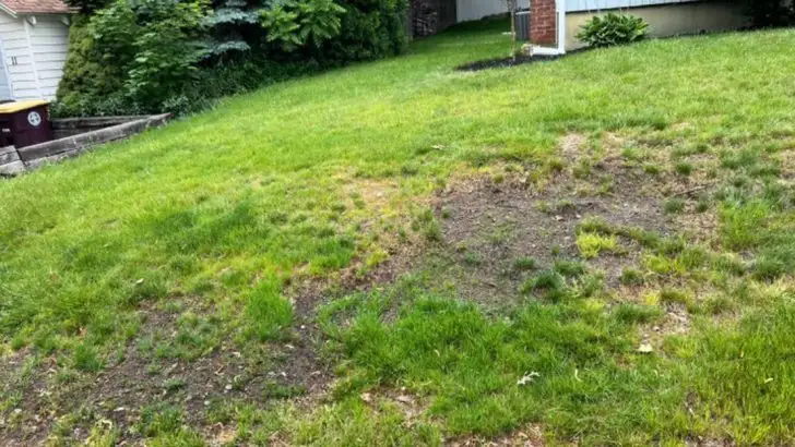 17 Common Lawn Care Mistakes That Lead to Poor Results