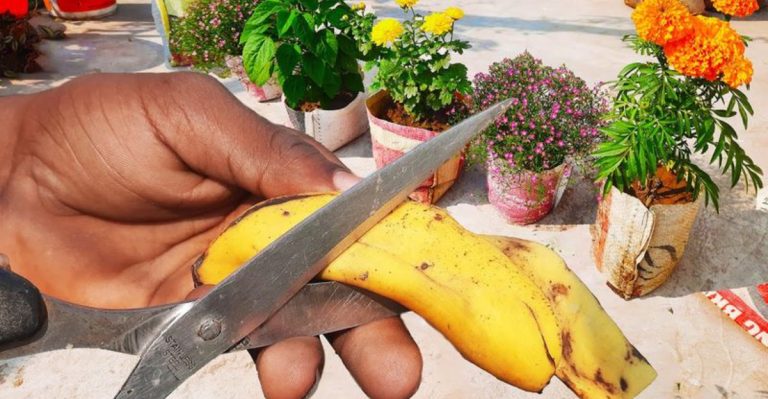 17 Gardening Secrets Pros Won’t Tell You (Until Now)