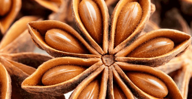 17 Proven Tips for Growing Anise and Reaping Its Amazing Benefits
