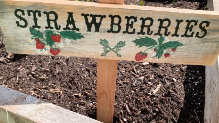 17 Spring Garden Decor Ideas to Refresh Your Outdoor Space