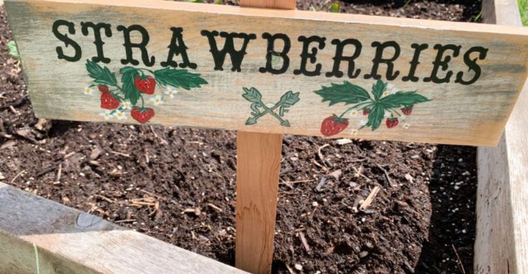 17 Spring Garden Decor Ideas to Refresh Your Outdoor Space