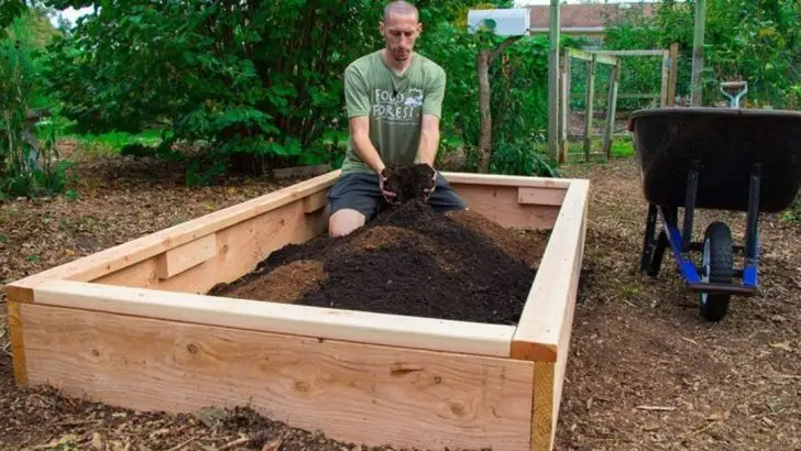 17 Things to Do ASAP to Prepare Your Backyard for Spring