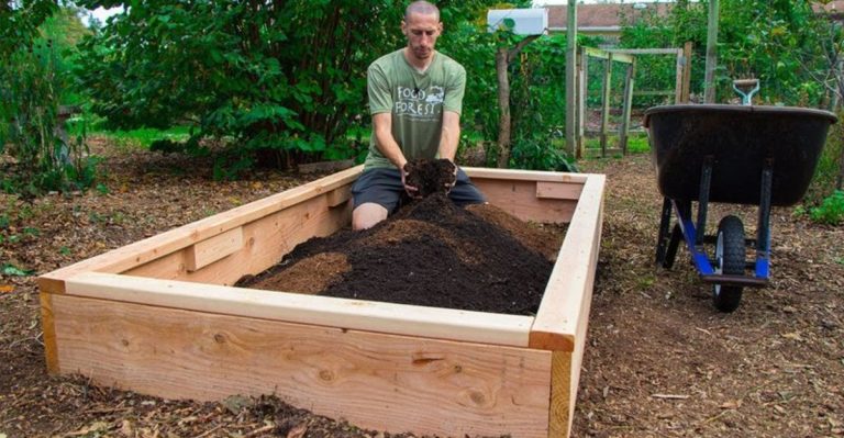 17 Things to Do ASAP to Prepare Your Backyard for Spring