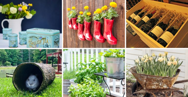 17 Unique Container Ideas to Give Your Garden a Creative Touch