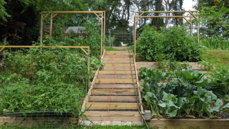 18 Forgotten Ways People Used to Grow Food Without Modern Tools