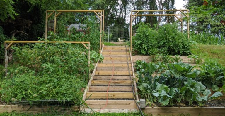 18 Forgotten Ways People Used to Grow Food Without Modern Tools