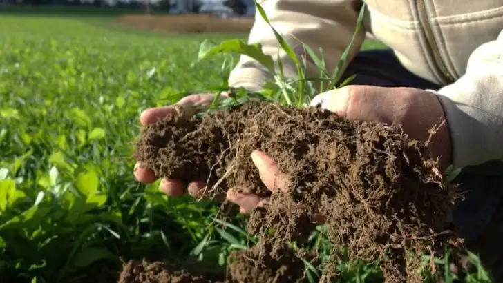 18 Gardening Hacks Every Californian Needs to Know