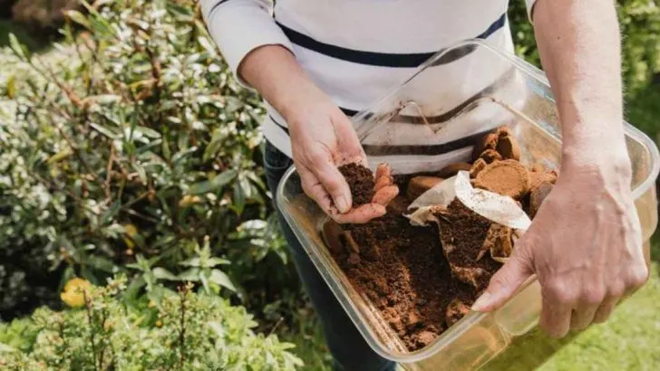 18 Gardening Myths You Should Stop Believing Right Now