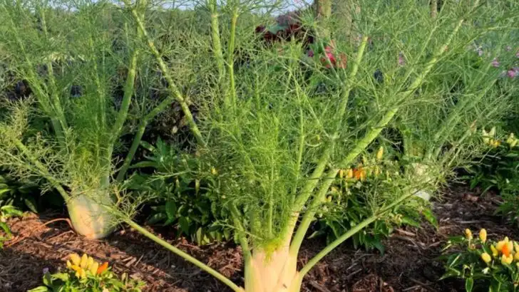 18 Medicinal Plants You Can Grow in Your Garden for Everyday Health