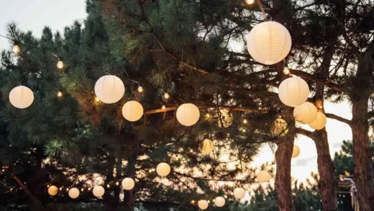 18 Outdoor Lighting Ideas to Transform Your Yard, Deck or Patio