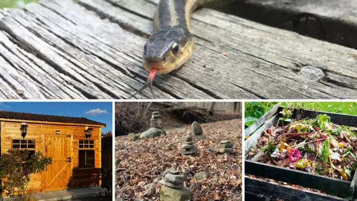 18 Places Snakes Might Be Lurking In Your Garden & House